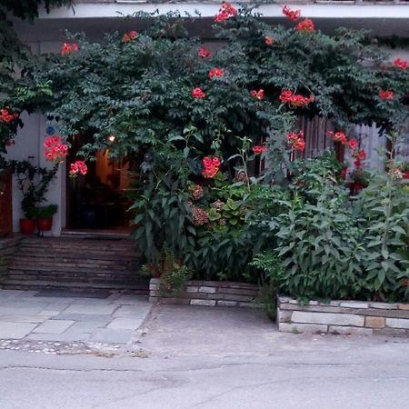 Hotel Katerina à Chorefton Extérieur photo