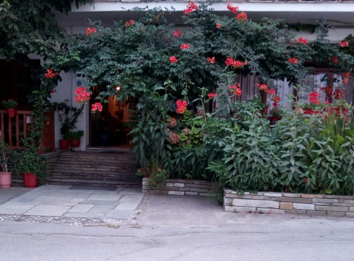 Hotel Katerina à Chorefton Extérieur photo